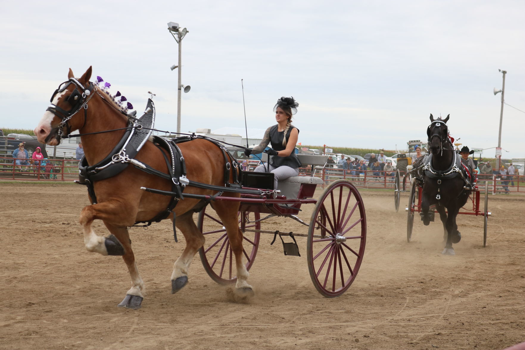 Ladies' Cart 4